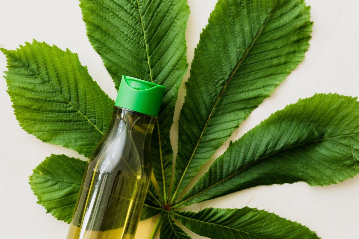 Quelle est l&rsquo;histoire de la phytothérapie